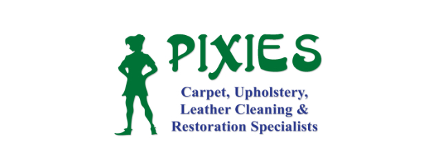 Pixies-Cleaning